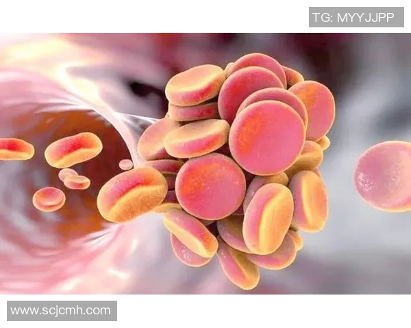 足球明星因心梗突发离世引发全球哀悼与健康警示 足球明星因心梗突发离世引发全球哀悼与健康警示