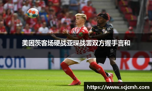 乐盈VI