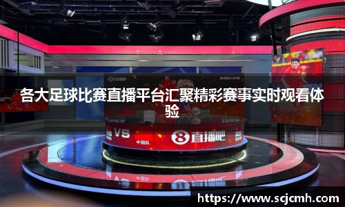 乐盈VI