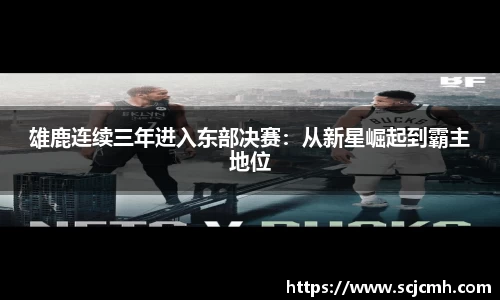乐盈VI