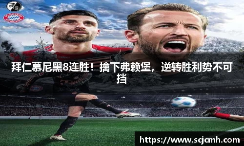 乐盈VI