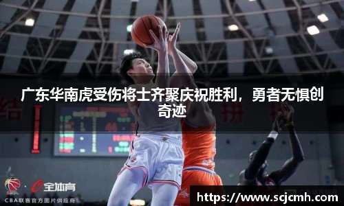 乐盈VI