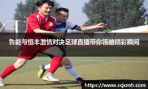 乐盈VI