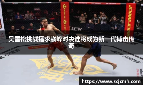 乐盈VI