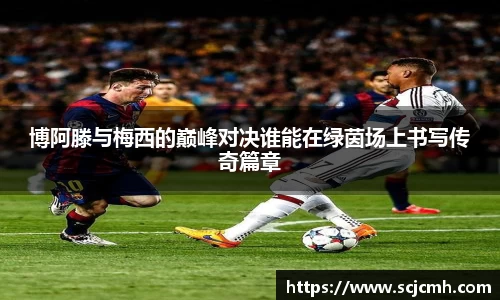 乐盈VI