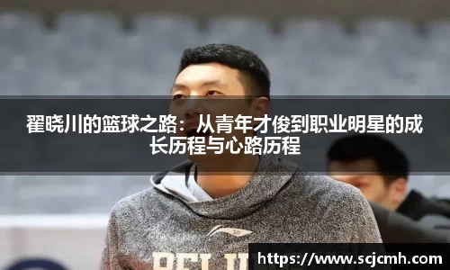 乐盈VI