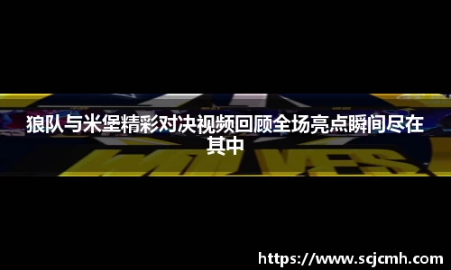 乐盈VI