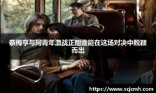 乐盈VI