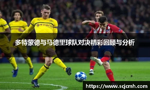 乐盈VI