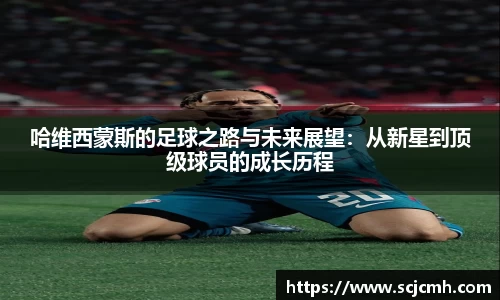 乐盈VI