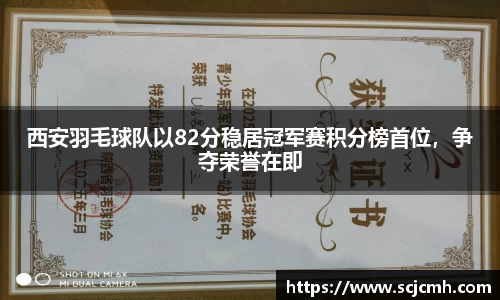 乐盈VI