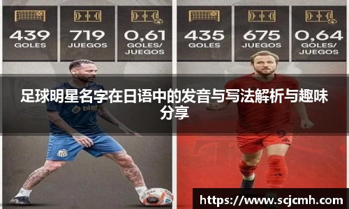 乐盈VI